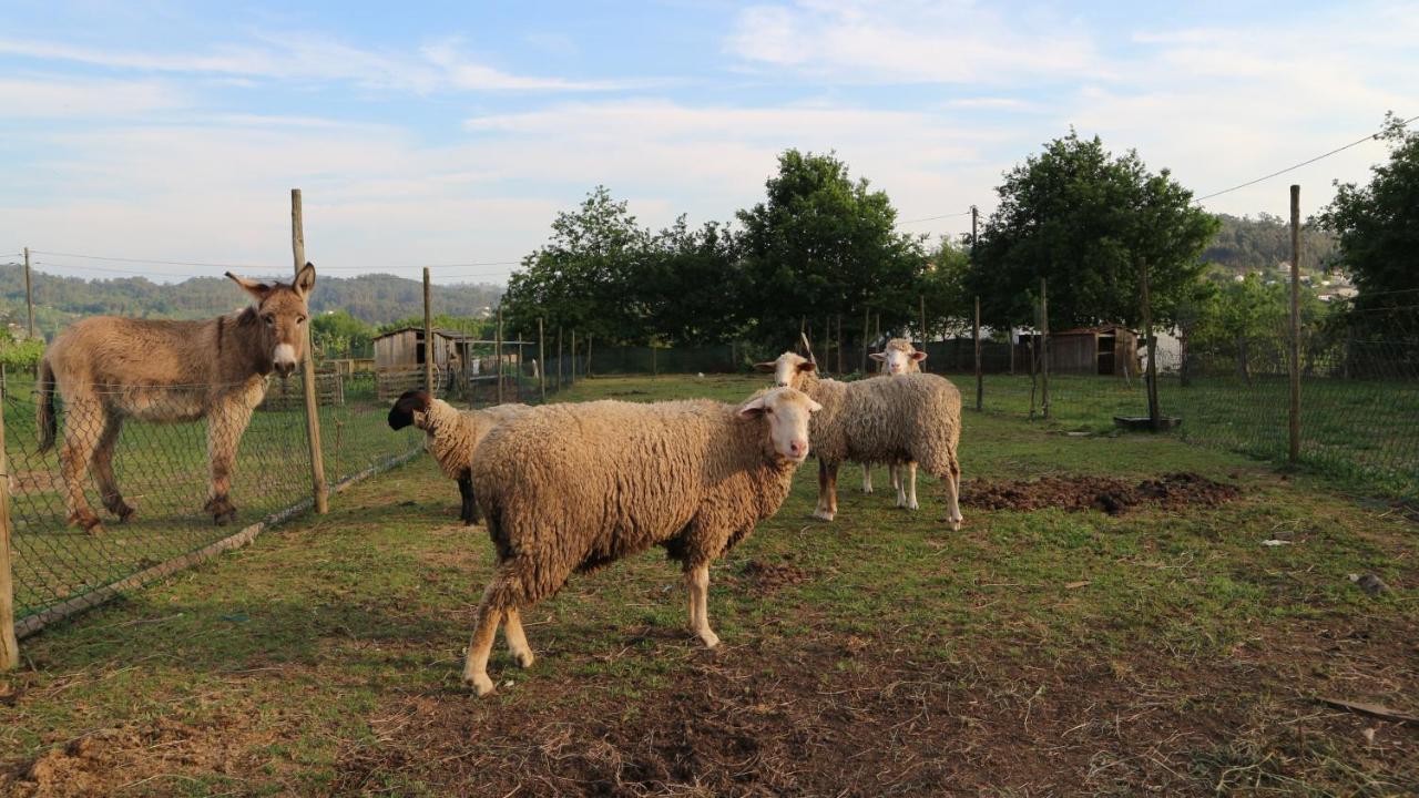 Quinta Lama De Cima Fafe Extérieur photo